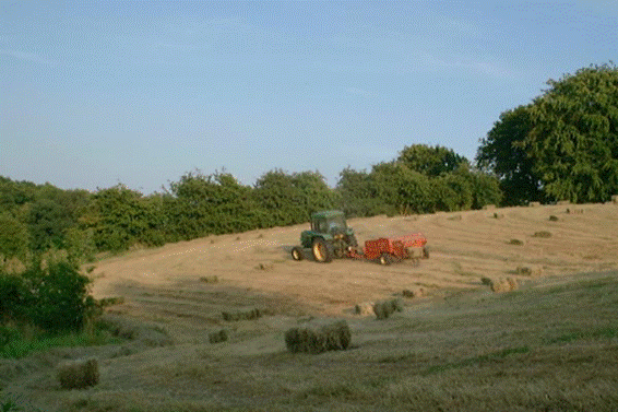 haymaking